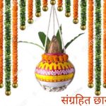 नवरगाव (ध) येथील आज पासुन सुरु होणार भव्य यात्रा..