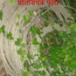 विद्युत तार चोरट्याना अटक 8 लाखाचा मुद्देमाल जप्त.