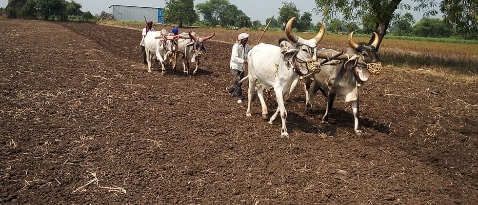 44 हजार 500 हेक्टर शेतजमीन खरीप हंगामाकरीता सज्ज.