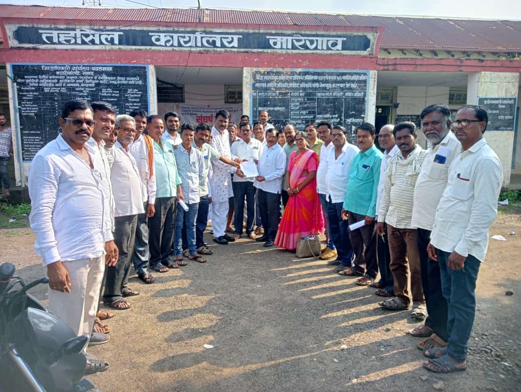 मारेगाव तालुक्यातील हजारो हेक्टरातील सोयाबीन ‘येलो मोझॅक’च्या जाळ्यात.