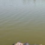 पार्डी जवळील वर्धा नदीपात्रात आढळला अनोळखी व्यक्तीचा मृतदेह