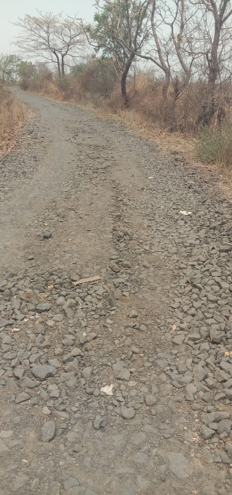 आमदार&nbsp; देरकर यांचे कडून सालेभट्टी -मार्की खु मार्ग दुरुस्ती व डांबरीकरणाचा प्रस्ताव