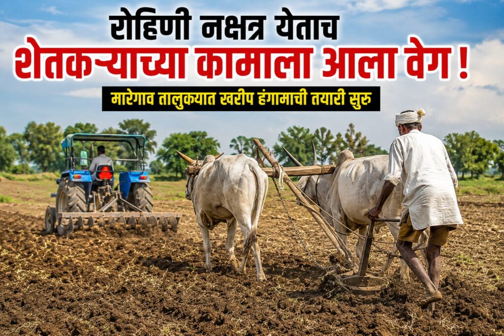 रोहिणी नक्षत्राचा शुभसंकेत!