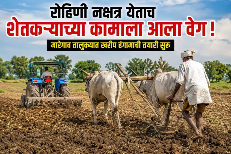 रोहिणी नक्षत्राचा शुभसंकेत!