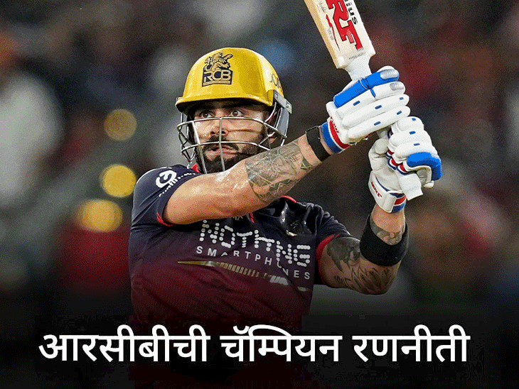 RCB ला पुन्हा चॅम्पियन बनवणारे टॉप-5 फॅक्टर:संघात 8 मॅच विनर्स; विराट कोहलीने 675 धावा केल्या, भुवनेश्वरने 28 विकेट घेतल्या